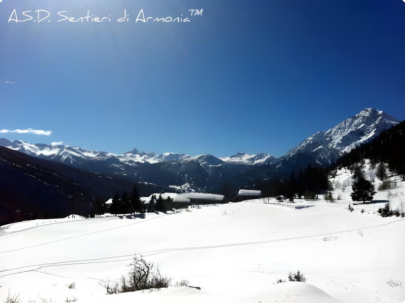 04_panorama.jpg
