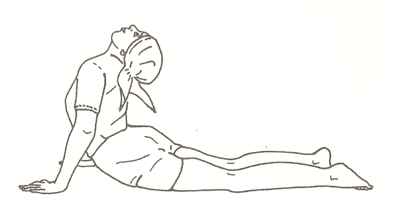 Bujangasana.png
