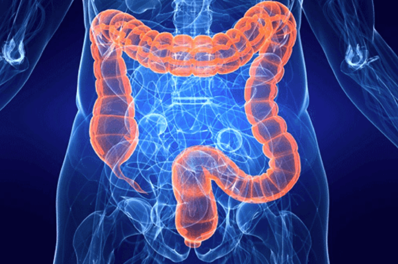 colon.png