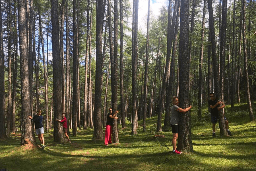 Forest Bathing in montagna | Oulx (TO) | Alta Valle di Susa