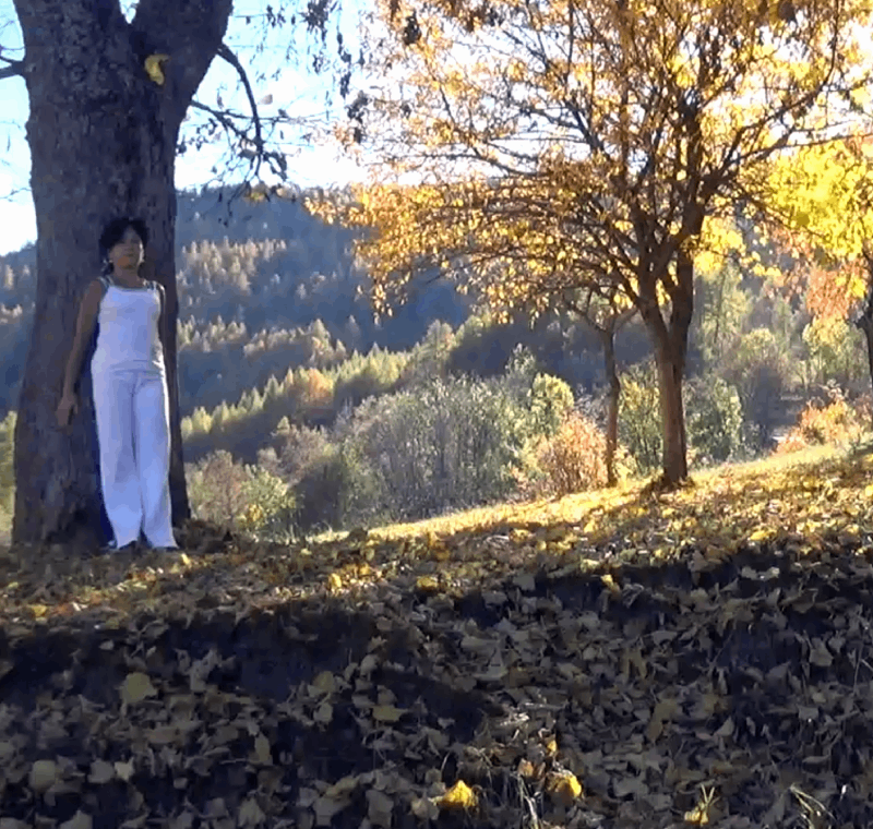 laura_eynard_yoga_in_autunno.png