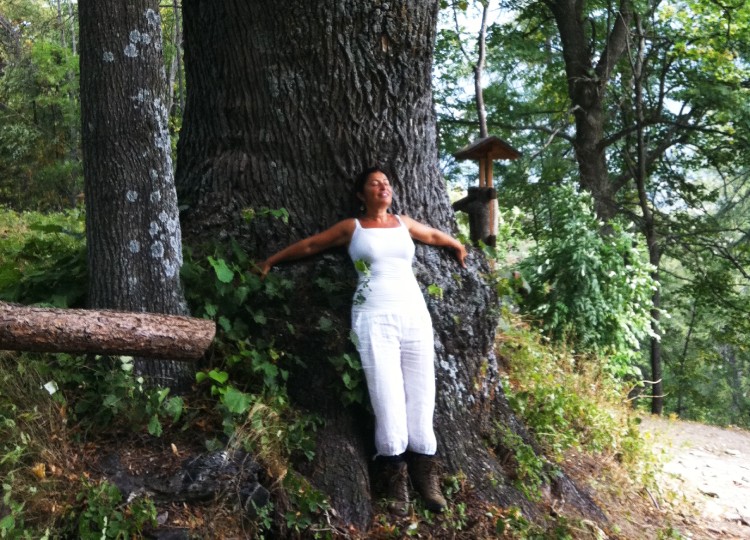 meditazione_albero.jpg