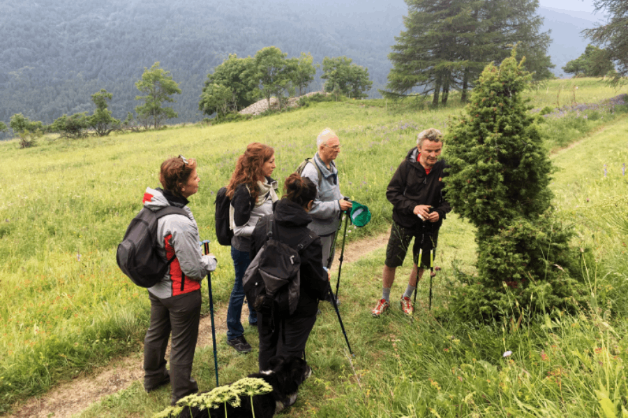 Massimo Abbà | Guida Escursionistica Ambientale | Istruttore di Forest Bathing